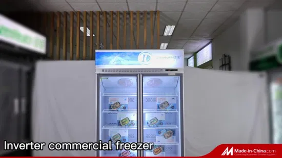 Commerce de gros de refroidissement dynamique double porte en verre transparent réfrigérateur congélateur avec compresseur inverseur